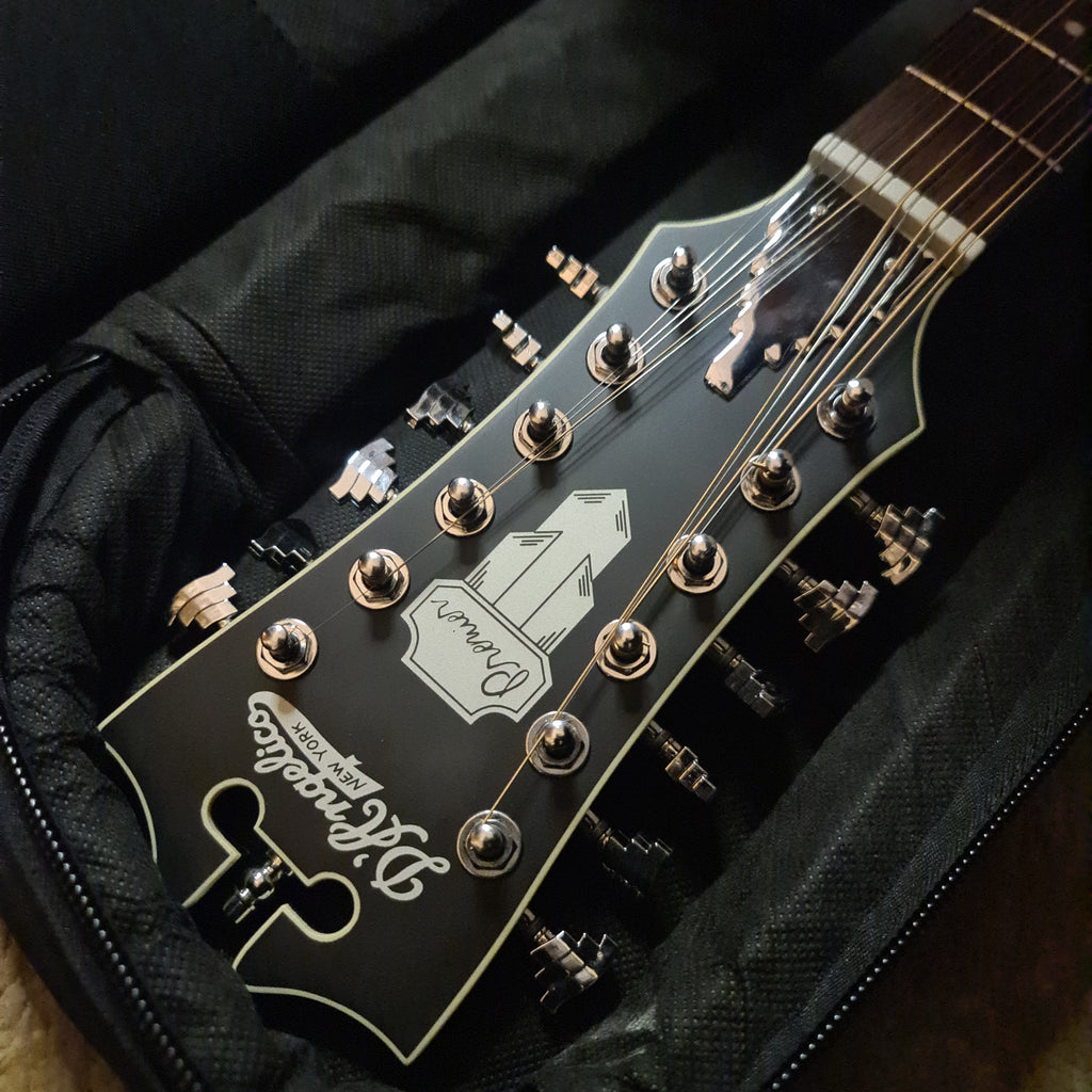 D'angelico Premier 12 Strings