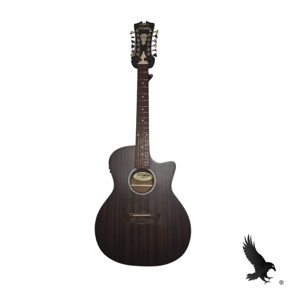 D'angelico Premier 12 Strings