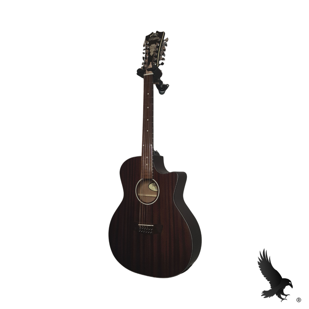 D'angelico Premier 12 Strings
