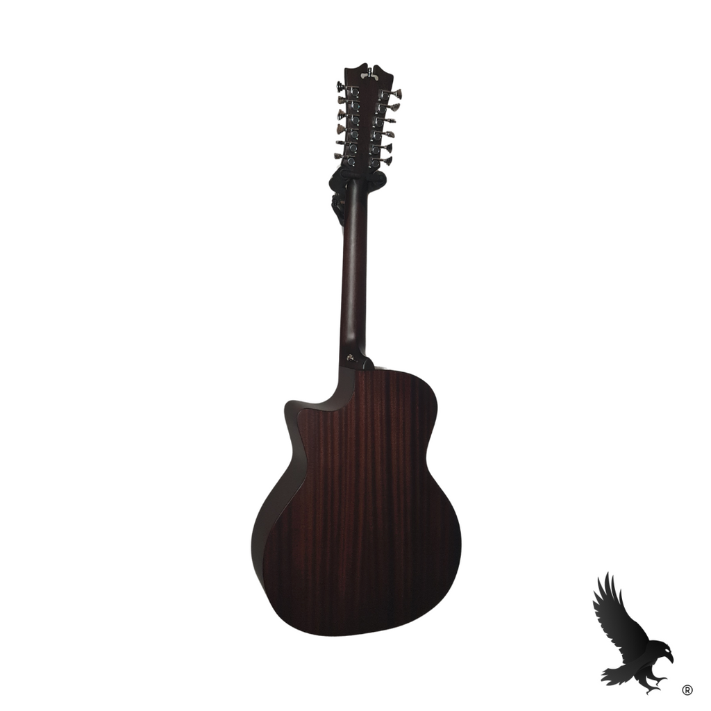 D'angelico Premier 12 Strings